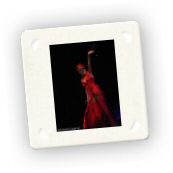 20080527 Kylie 054.jpg